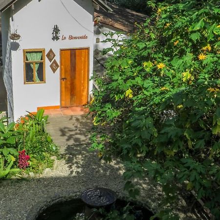 Finca Los Abuelos - La Planta Concepcion Екстериор снимка